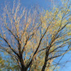 Meet your Posher, Ciarra